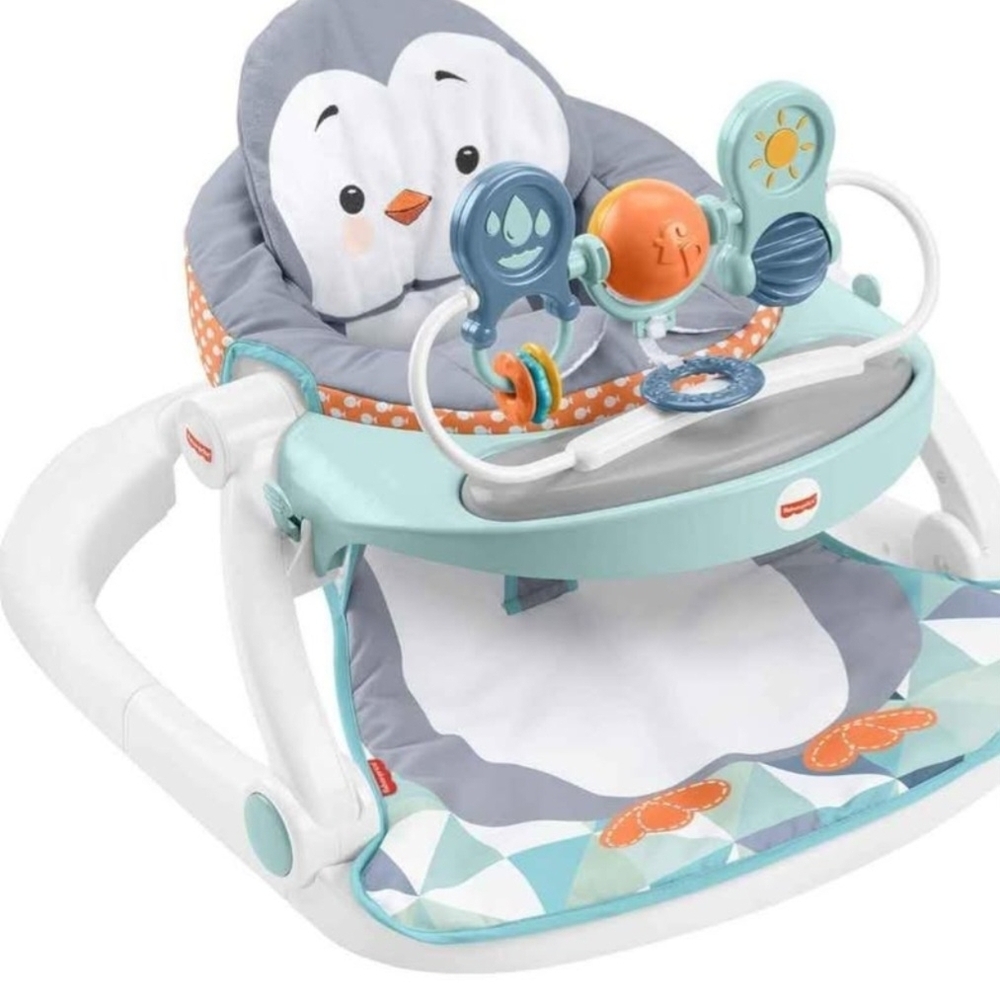 Penguin Baby Activity Seat